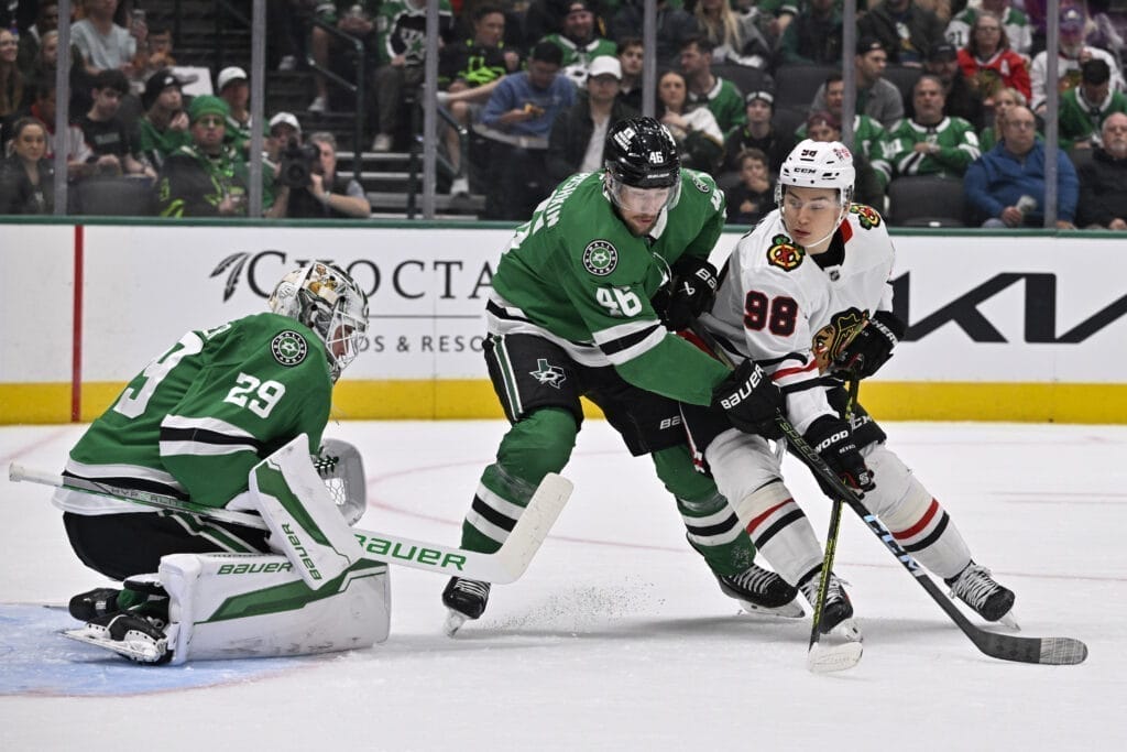 Dallas Stars defenseman Ilya Lyubushkin