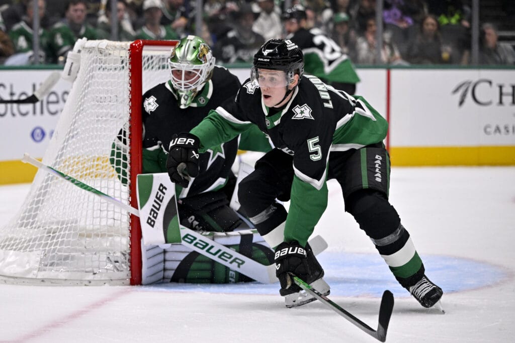 Dallas Stars defenseman Nils Lundkvist