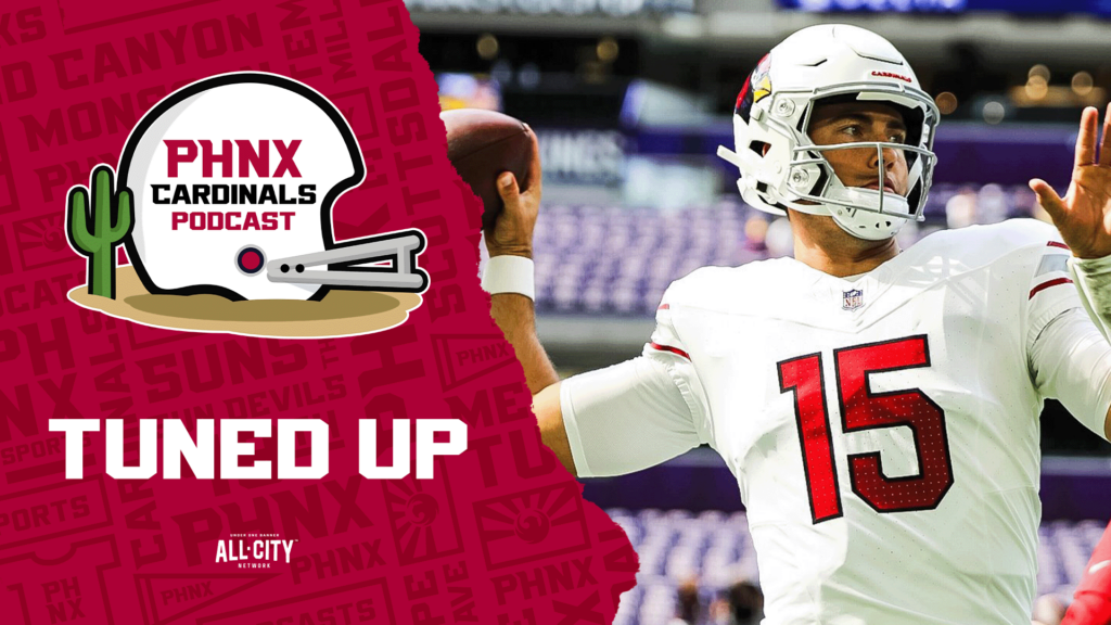 Who made their case to make Arizona Cardinals roster in preseason finale against Minnesota Vikings?