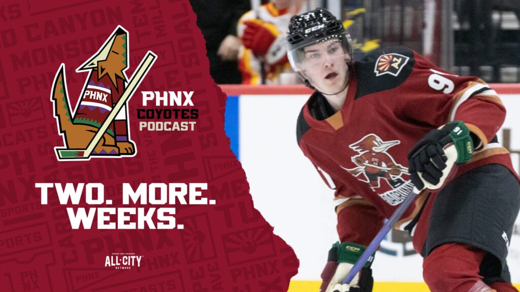 Training camp roster whittles down as Arizona Coyotes hit the road for more preseason games