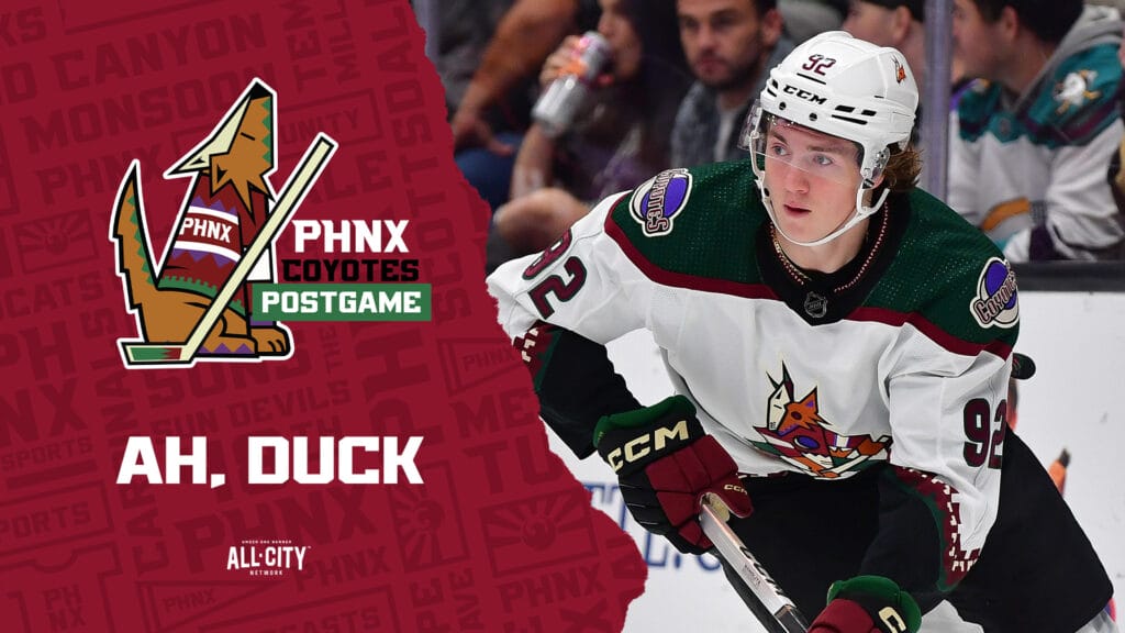 Logan Cooley scores first NHL goal but Arizona Coyotes lose in OT to Troy Terry and Anaheim Ducks