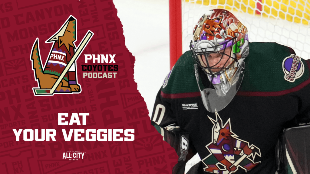 Karel Vejmelka earns shutout as Arizona Coyotes defeat Buffalo Sabres at Mullett Arena
