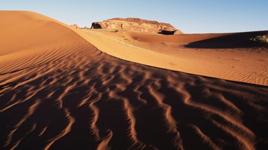 The Dry Heat Check is this blog's new name.