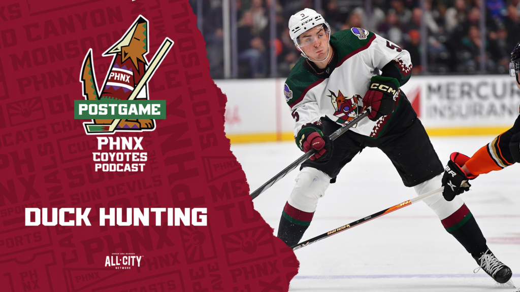 Connor Ingram earns shutout in Arizona Coyotes win over Anaheim Ducks