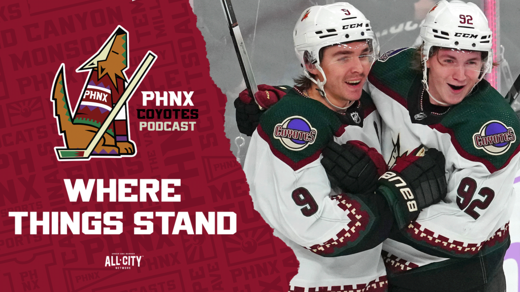 Where things stand for the Arizona Coyotes at the NHL All-Star break