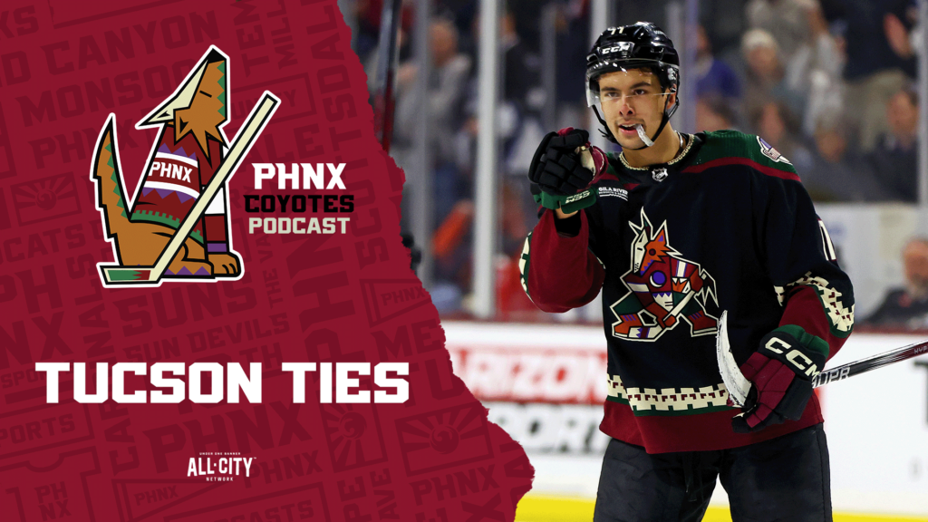 Who on the Arizona Coyotes could help the Tucson Roadrunners in a playoff run?