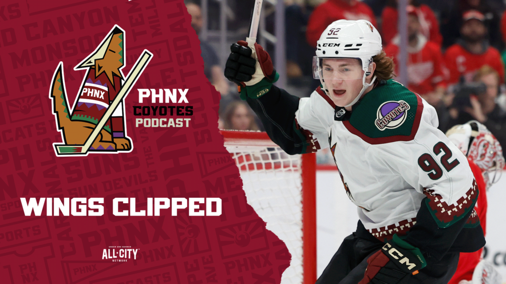 Connor Ingram Comes Up Big In Arizona Coyotes’ Win Over Detroit Red Wings
