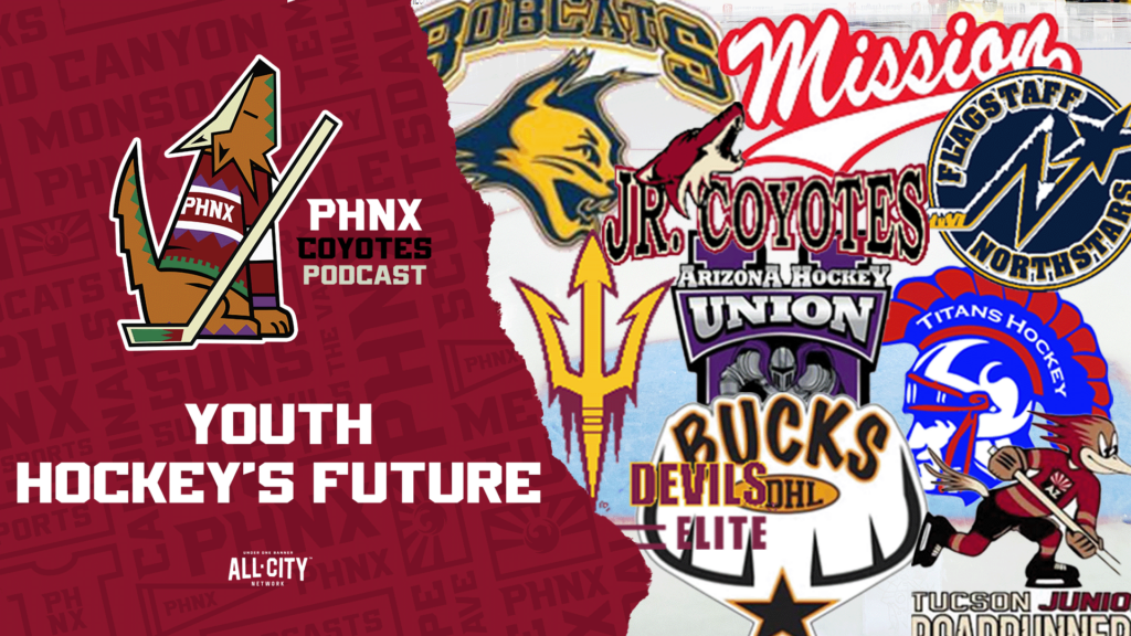 Lyndsey Fry Is Working To Ensure Youth Hockey’s Future In The Valley