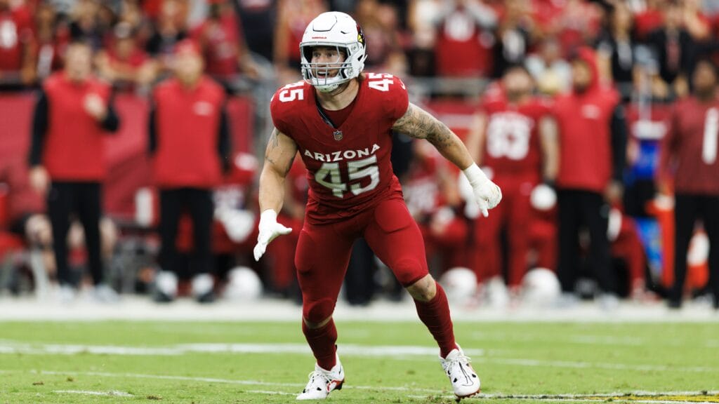 Cardinals linebacker Dennis Gardeck overcomes odds with refined toolbelt