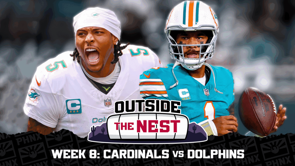 Outside the Nest: Dolphins beat writer offers view from the other side