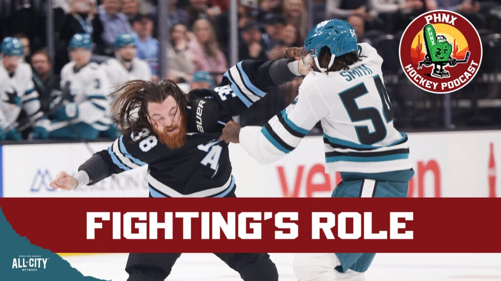 What Is Fighting’s Role In The NHL?