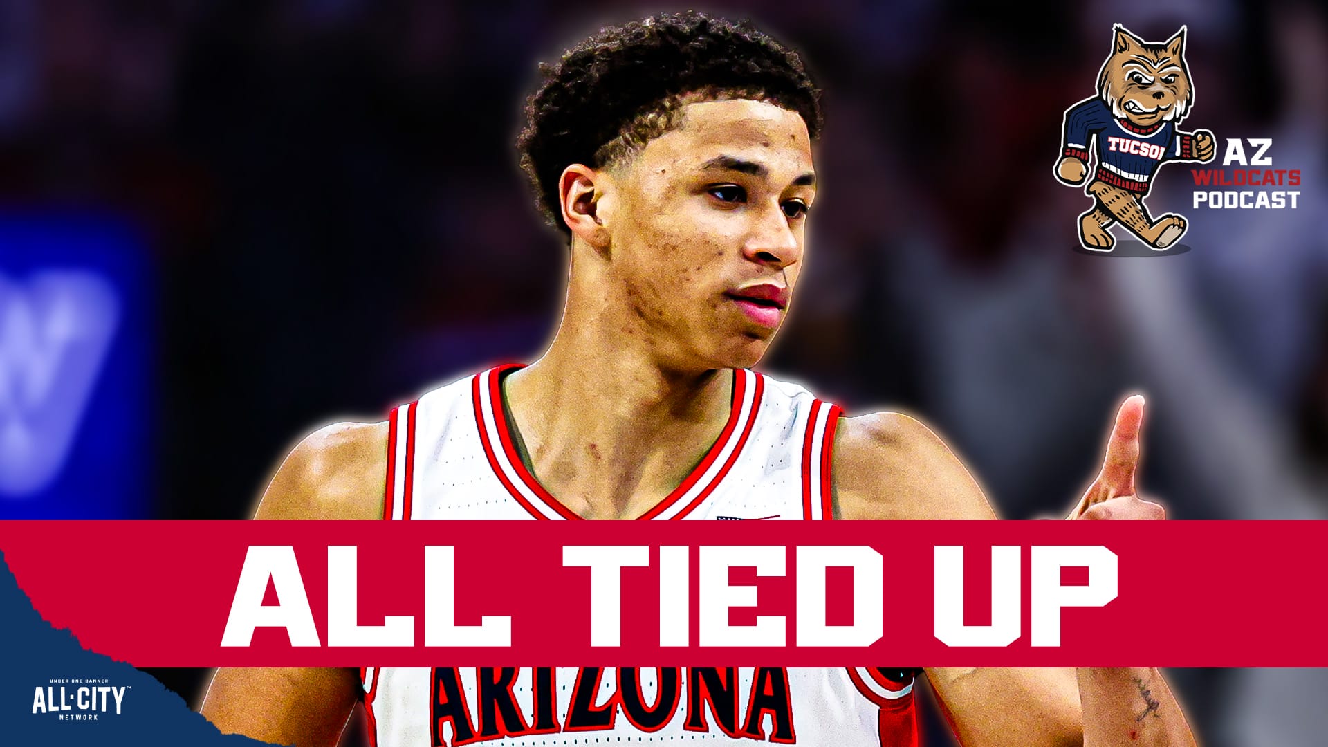 STANDARD POD Wildcats 2