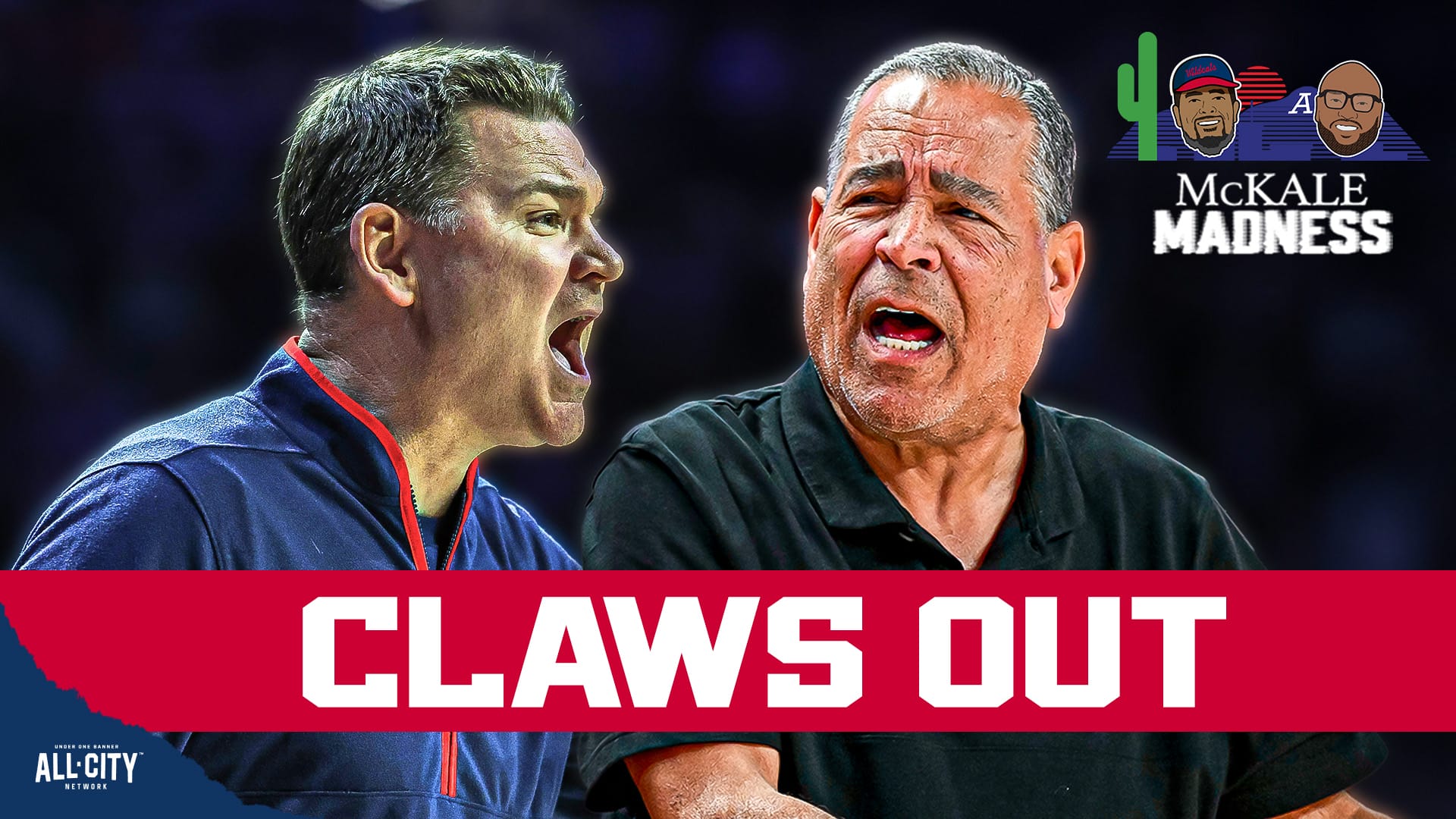 STANDARD POD Wildcats 5