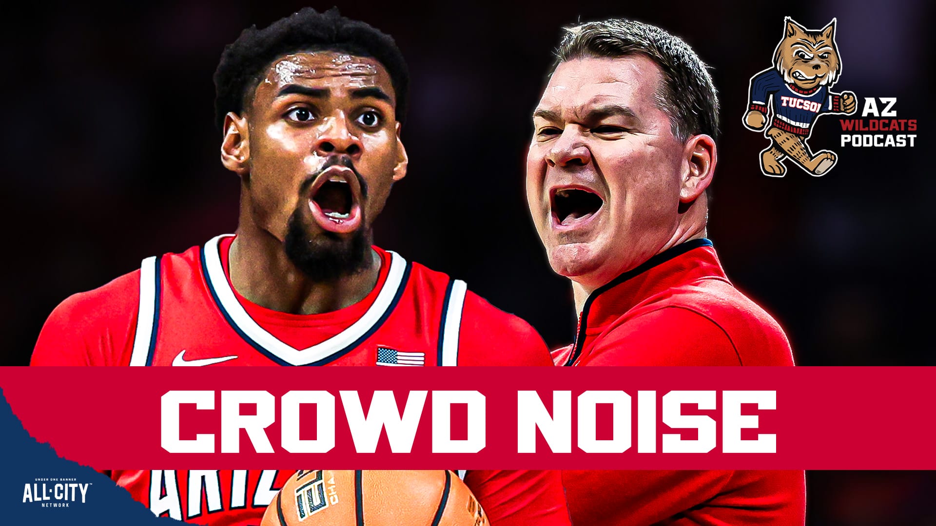 STANDARD POD Wildcats 3