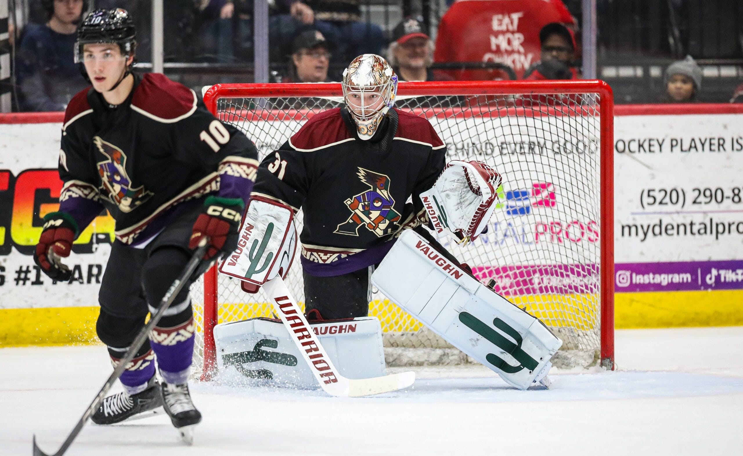 The Roadrunners are preparing for the stretch run towards the AHL playoffs.