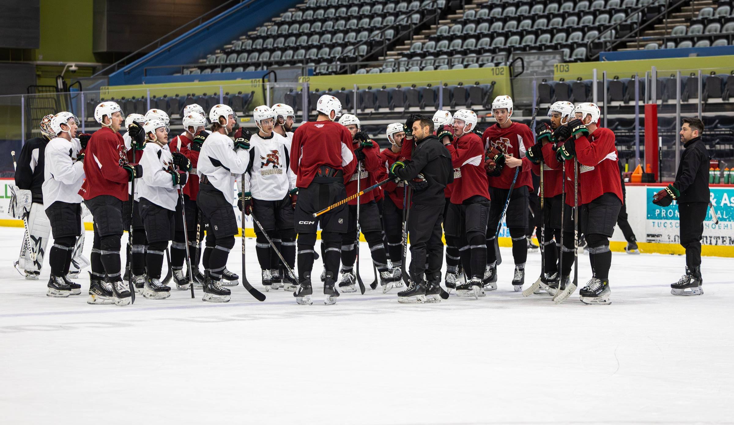 The Tucson Roadrunners are in a battle for the final AHL Playoff spot in the Pacific Division.