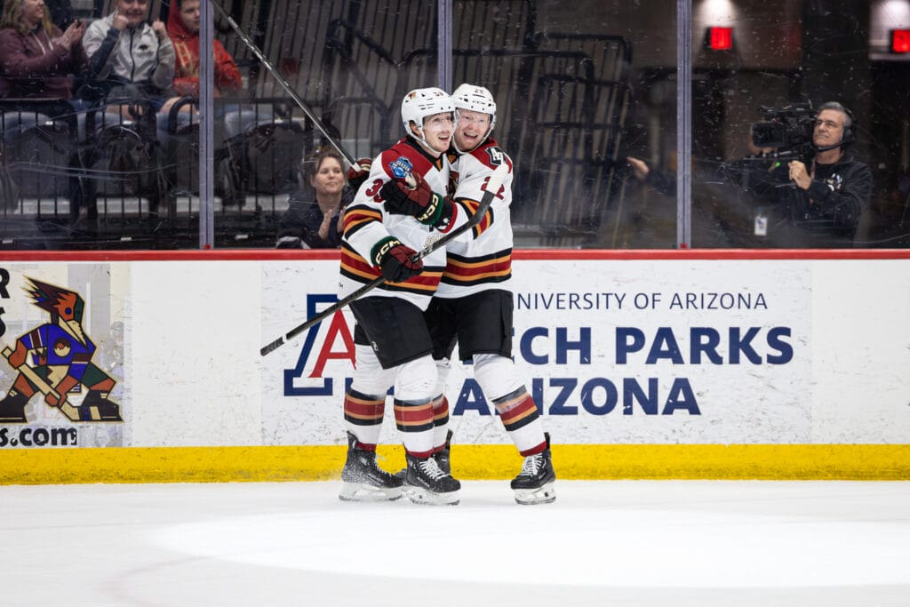 The Tucson Roadrunners wrapped up the 2024-25 season with a first-round loss to Abbotsford.