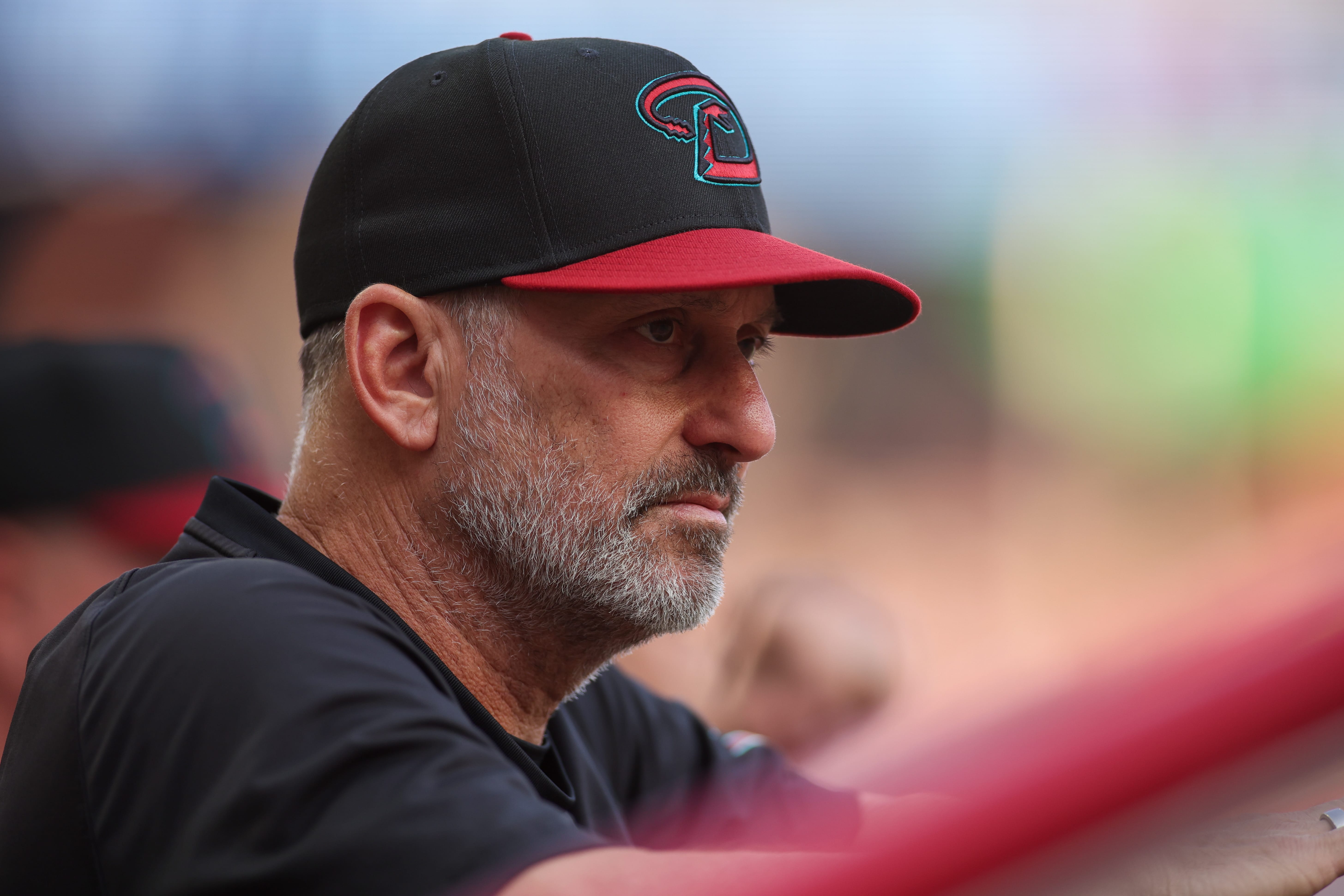 Fans sounded off on the future of Diamondbacks manager Torey Lovullo