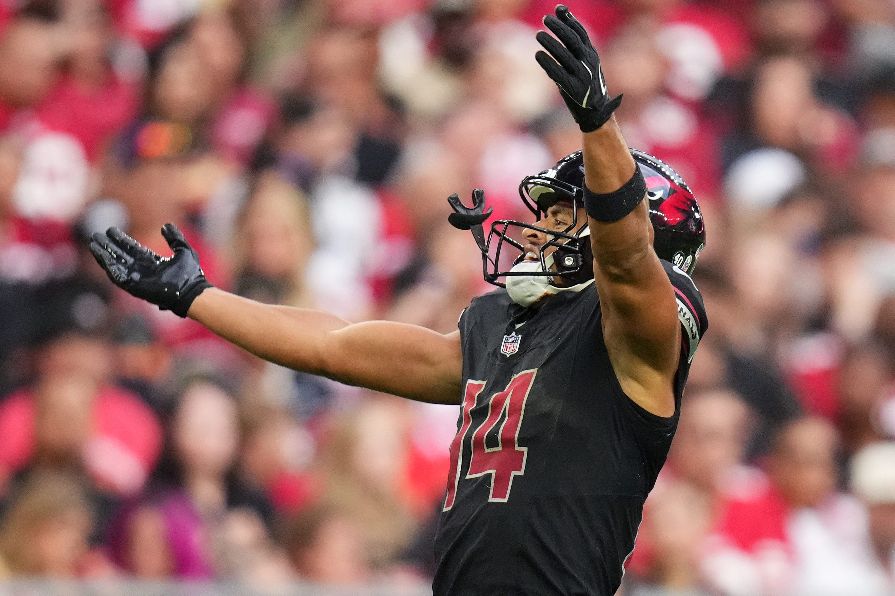 Arizona Cardinals WR Michael Wilson