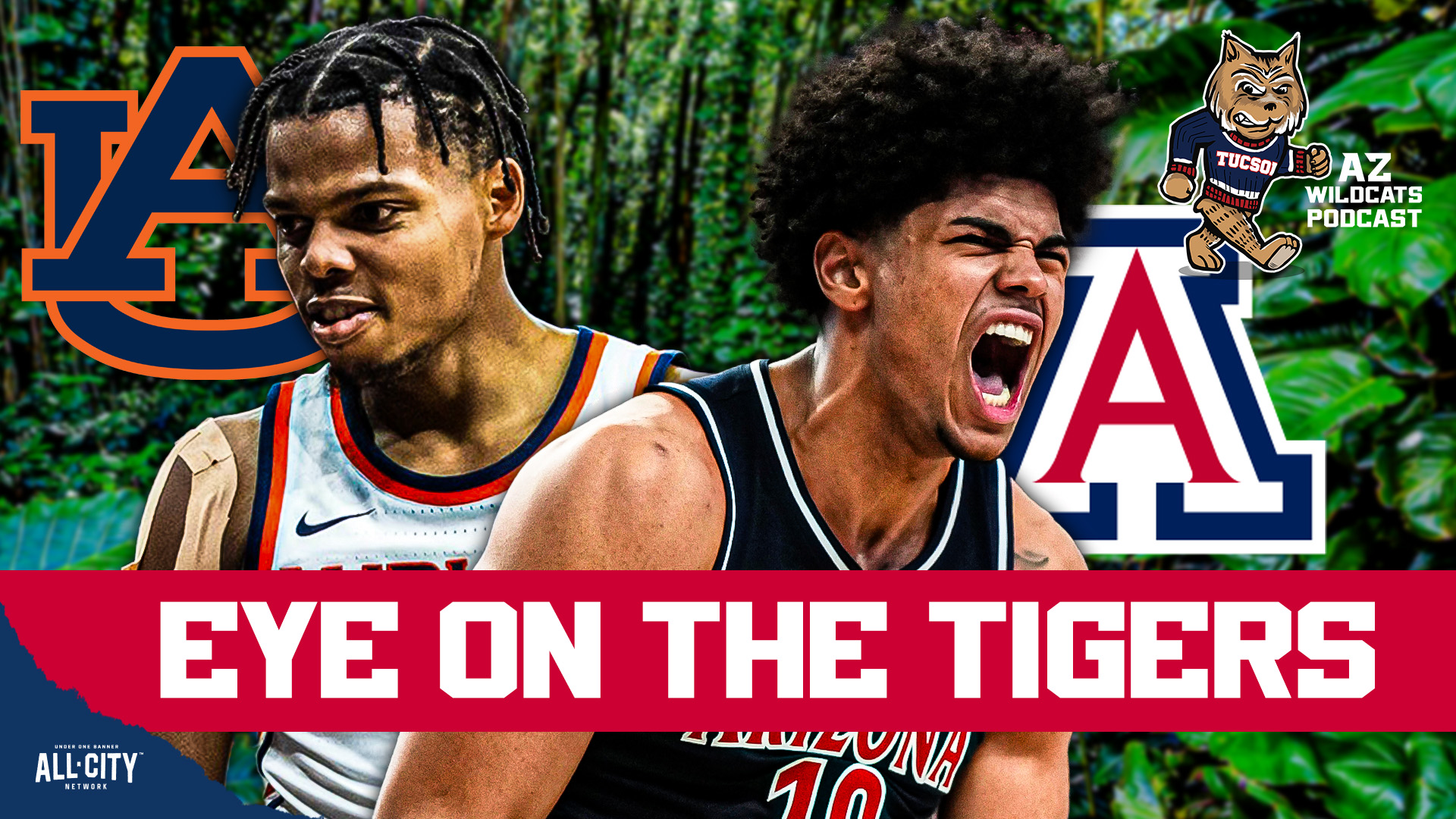 The Arizona Wildcats have one of the best resumes in the country. Their gauntlet non-conference schedule continues vs Auburn and then again in Birmingham vs Alabama. Koa Peat continues to look phenomenal this season, Jaden Bradley is continuing his payback tour, and Tommy Lloyd is continuing to round his group into shape ahead of Big 12 play. Can the Arizona Wildcats get it done in this matchup? PLUS! The fellas give their final and definitive Big 12 QB power rankings. Join Damon Fairall and Kevin Thomas on the AZ Wildcats Podcast!