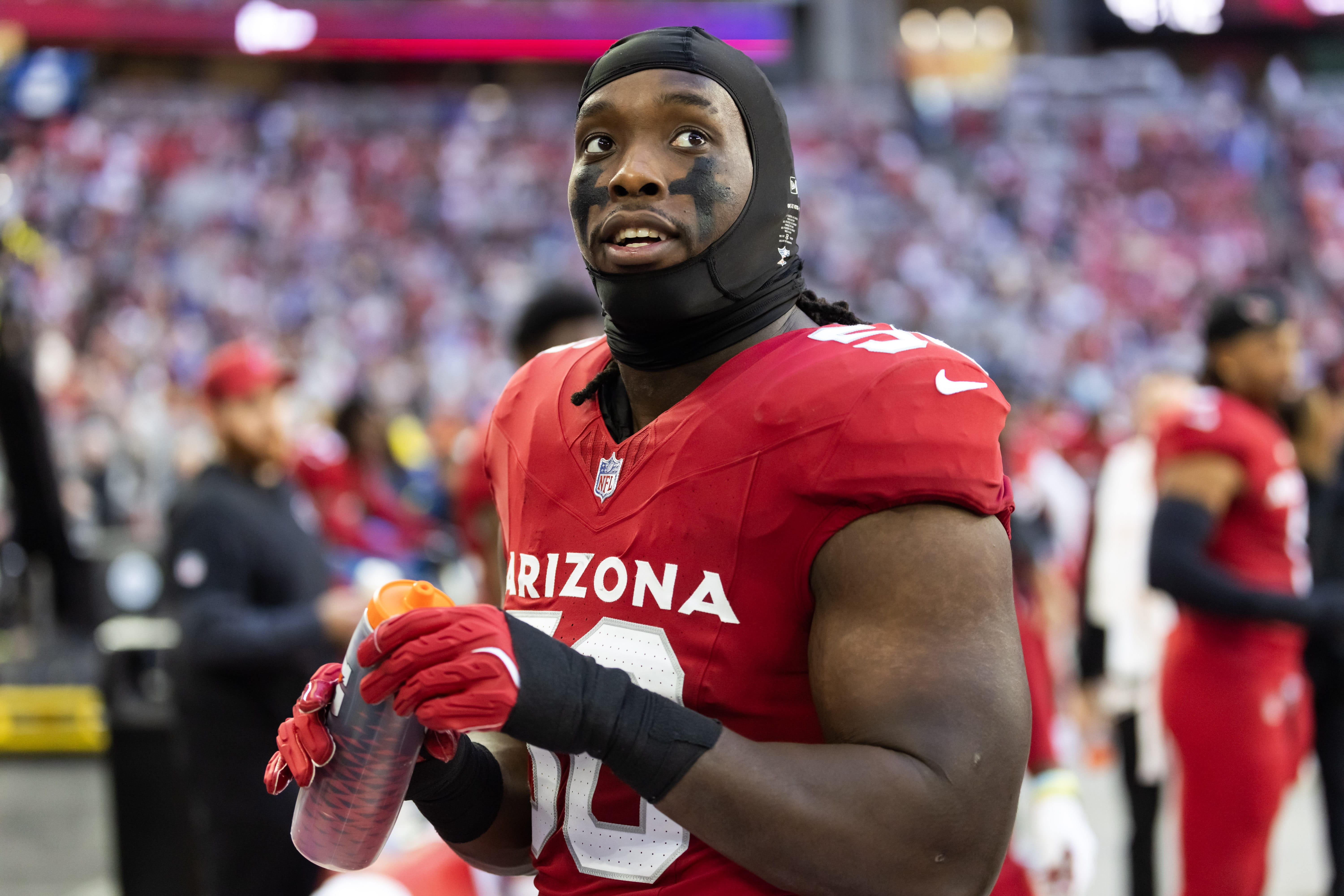 Arizona Cardinals DL Darius Robinson