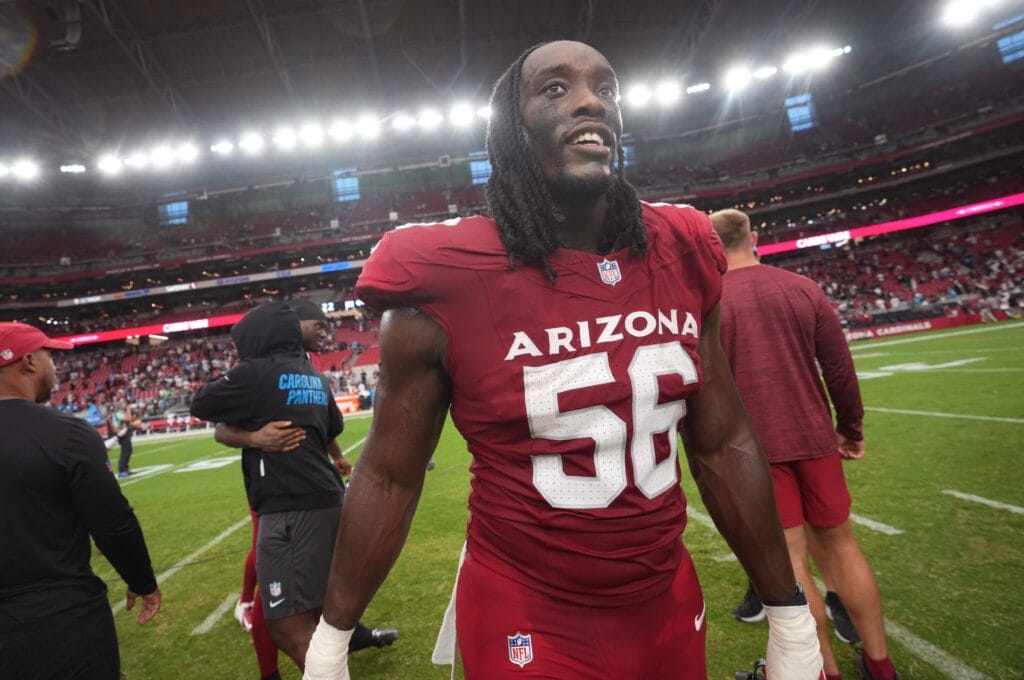 Arizona Cardinals DL Darius Robinson