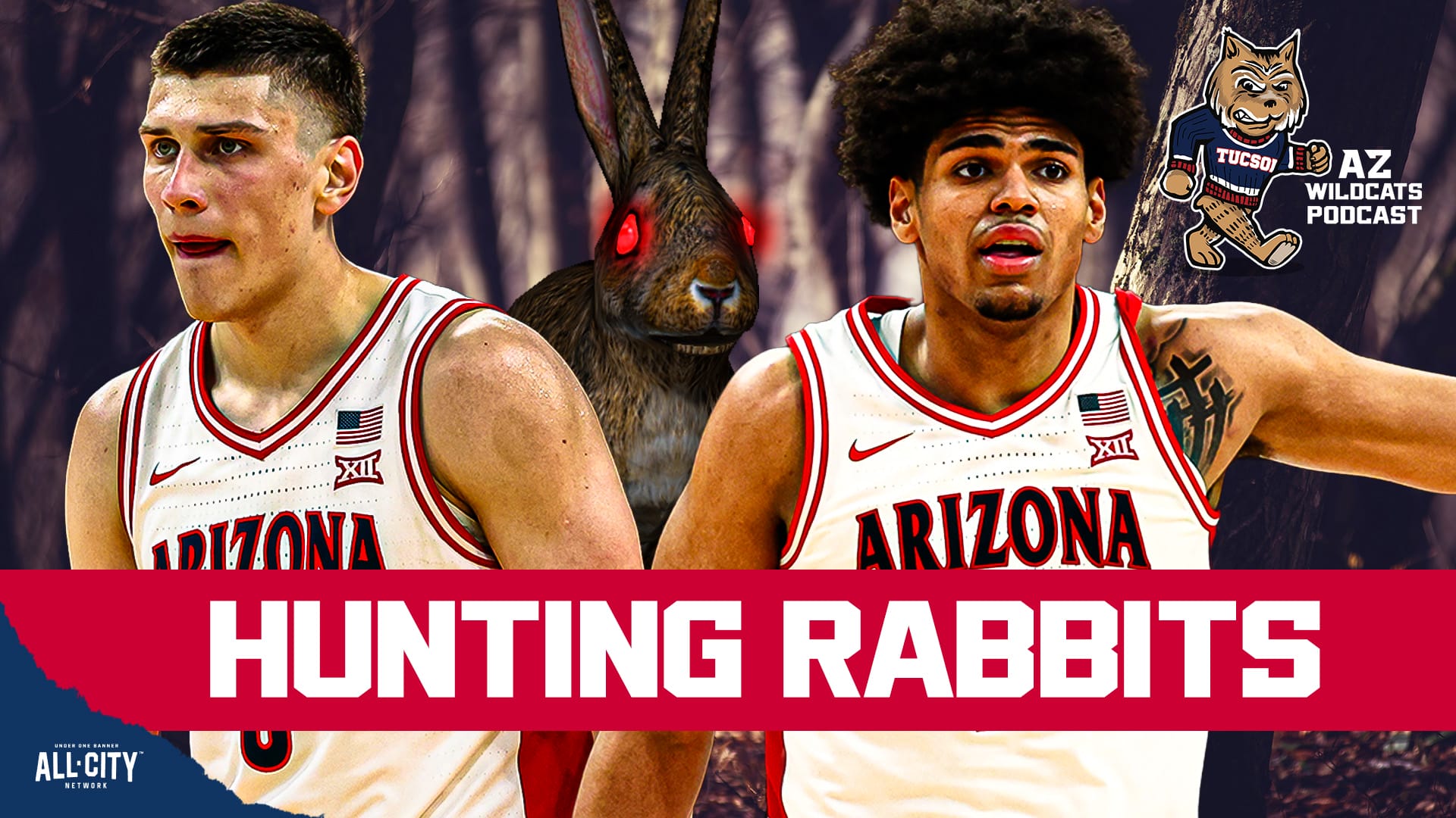 The Arizona Wildcats have ONE last tune up game ahead of Big 12 play and it is against the South Dakota State Jackrabbits who are 7-7 under head coach Bryan Petersen. The Jackrabbits do not stand much of a chance in this game, so why does it matter so much for Arizona? PLUS! Arizona bowl breakdown, Whittingham to Michigan?, One year of the fellas, Mick Cronin slander and SO MUCH MORE! Join Damon Fairall and Kevin Thomas on the AZ Wildcats Podcast!