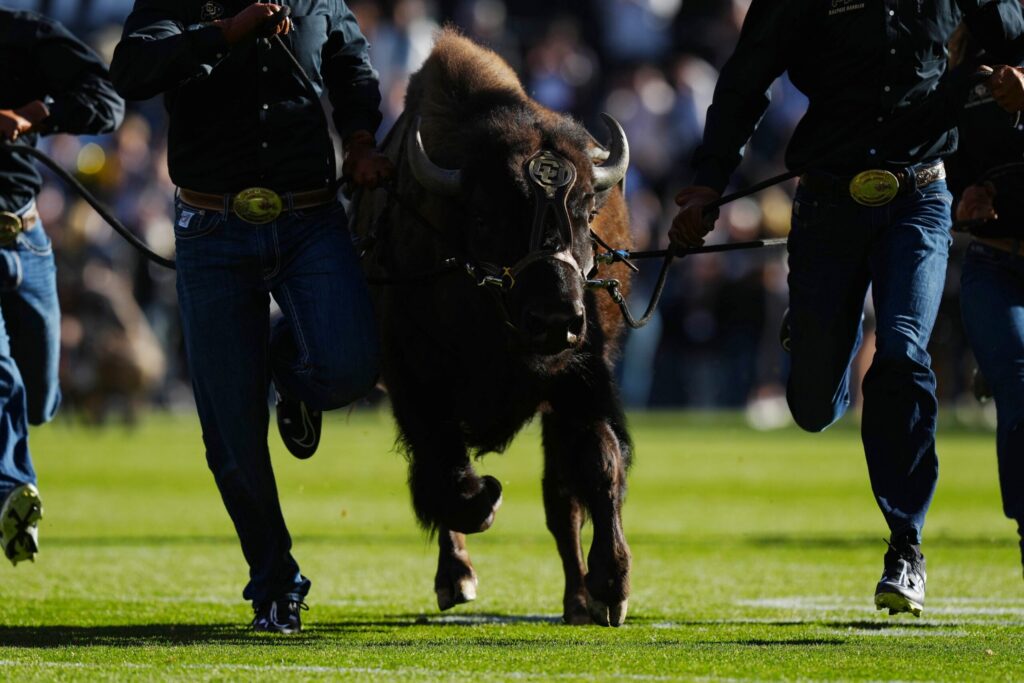 Four players who elevated their NFL Draft stock at Colorado’s Pro Day