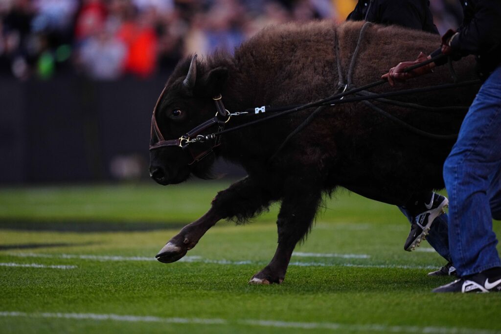 Wide receiver Wesley Greaves commits to Colorado