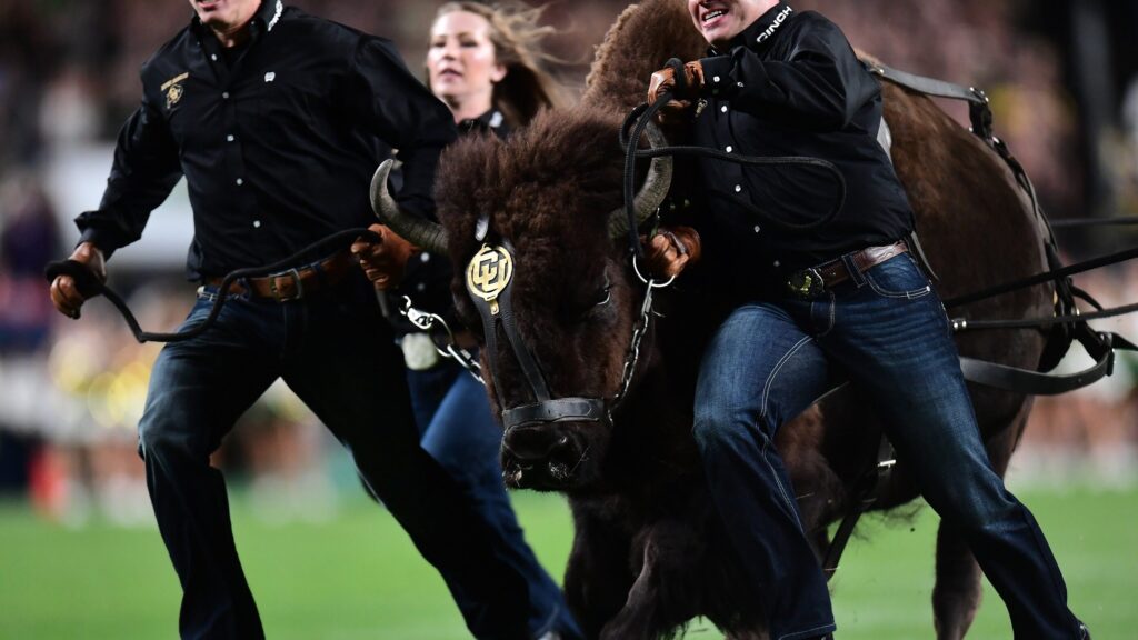 Ralphie VI has arrived