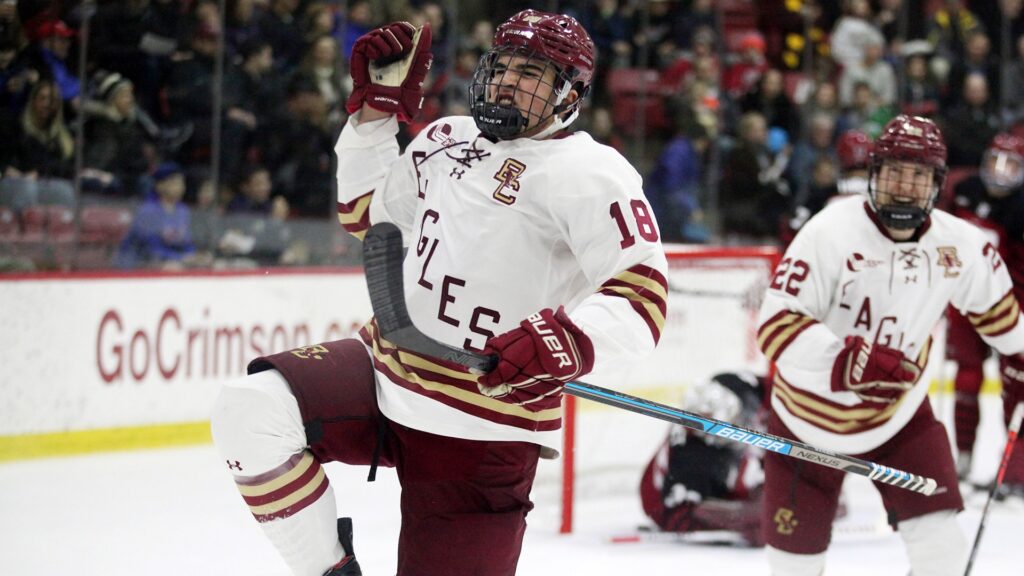 Avalanche Review 2019-20 Alex Newhook: The Newfie