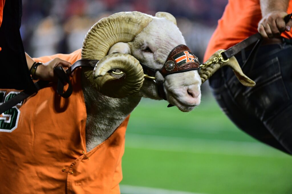 Rams Roundup: Catching up on a dominant weekend for CSU athletics