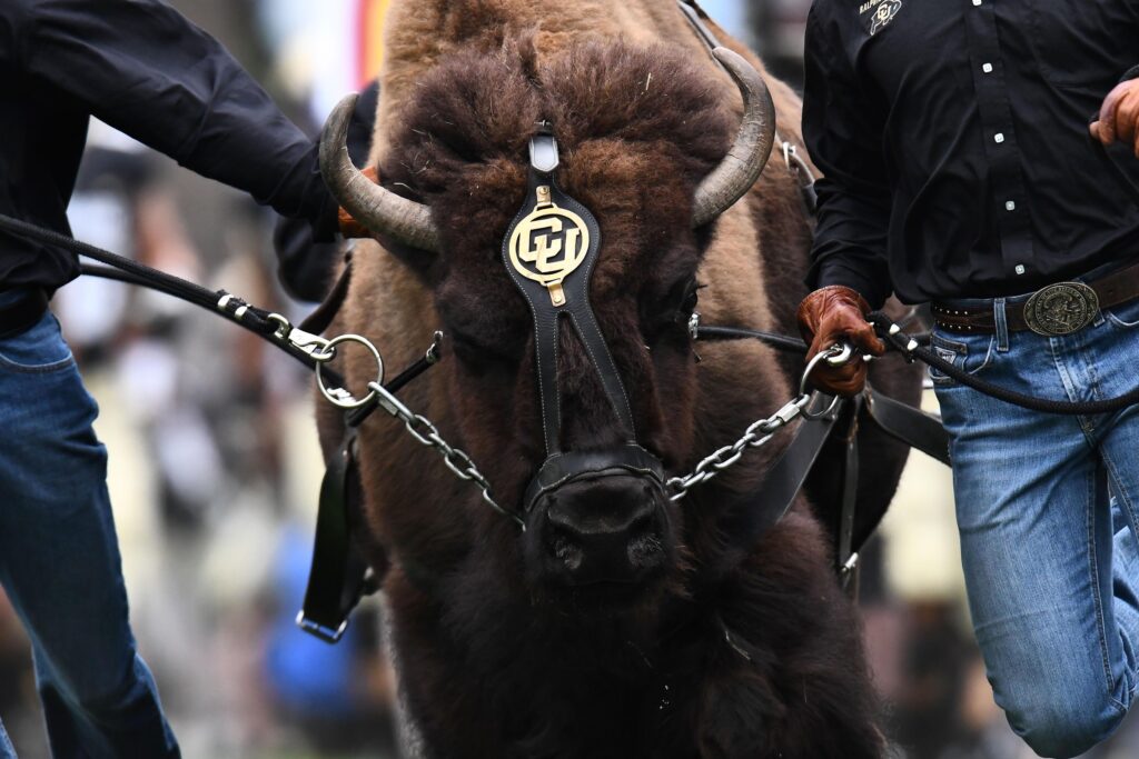 Buffs Roundup: Another disappointing week of Pac-12 play