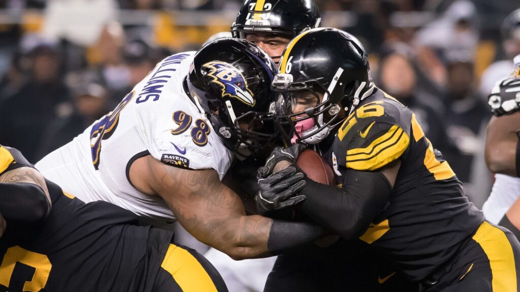 NFL Free Agent Profile: Brandon Williams, NT, Baltimore