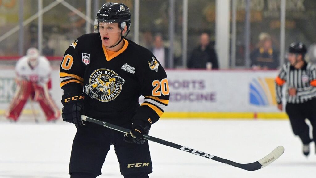 Avalanche Draft Profile: Casey Mittelstadt