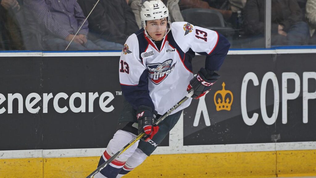 Avalanche Draft Profile: Gabriel Vilardi
