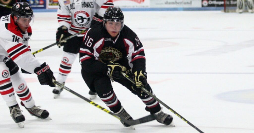 NHL Draft Prospect Profile: Rem Pitlick