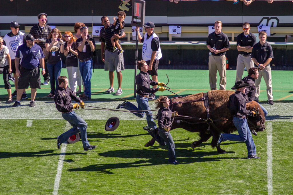 BSN Buffs Podcast: What does it take for CU to reach the next level?