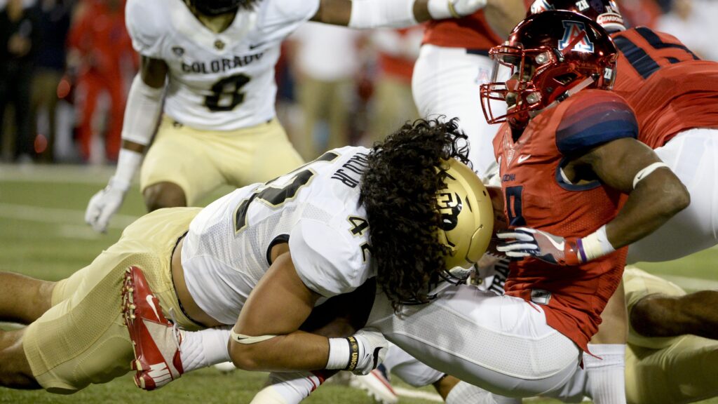 Wildcats beat to death in Tucson, okay
