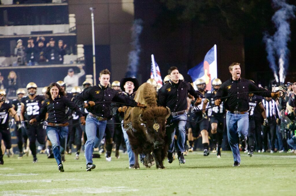 Colorado Buffaloes win Pac-12 South