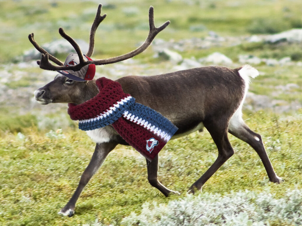 TGBU’s Christmas wish list for the Avalanche