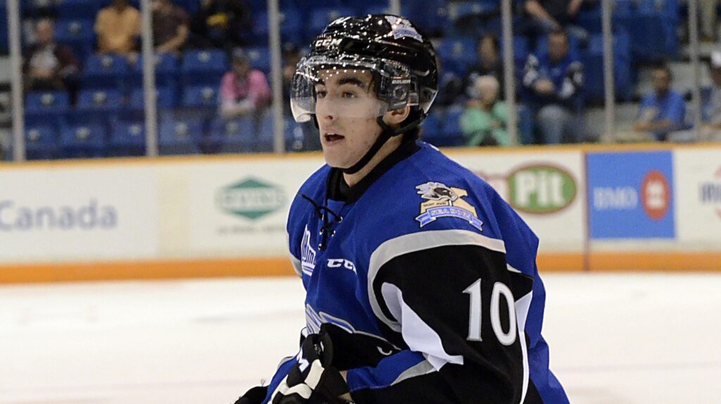 NHL Draft Prospect Profile: Nathan Noel