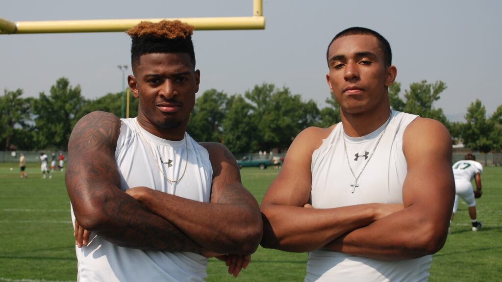 Theme of the team: Brotherhood of Rams