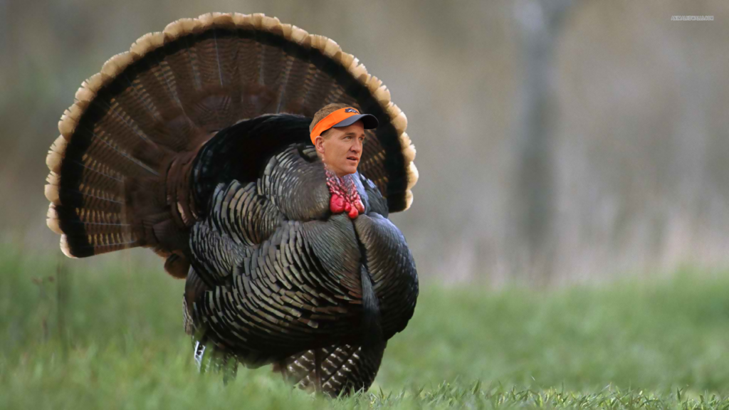 Thanksgiving edition: We’re thankful for Peyton Manning