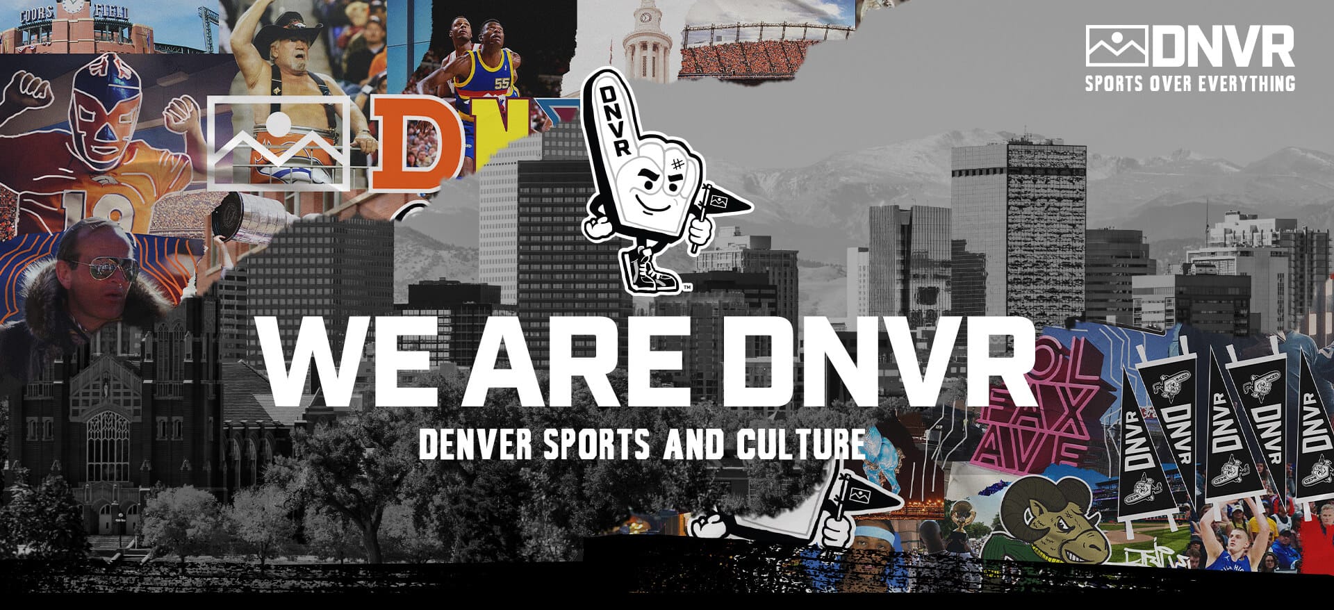 AboutPageDNVR Header