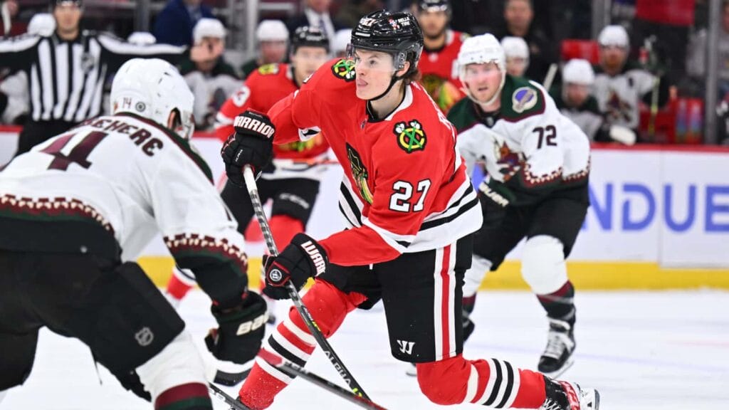 Lukas Reichel has an opportunity to solidify his NHL status