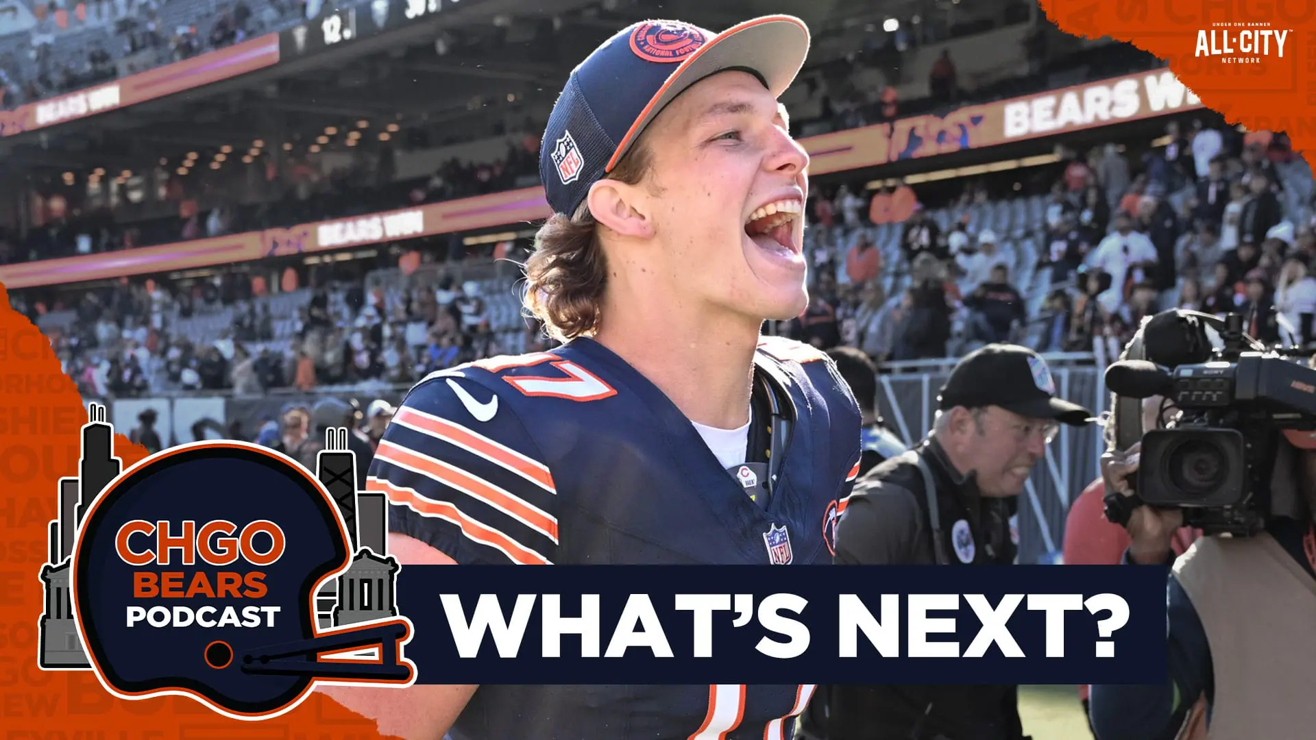 Bears thumbnail