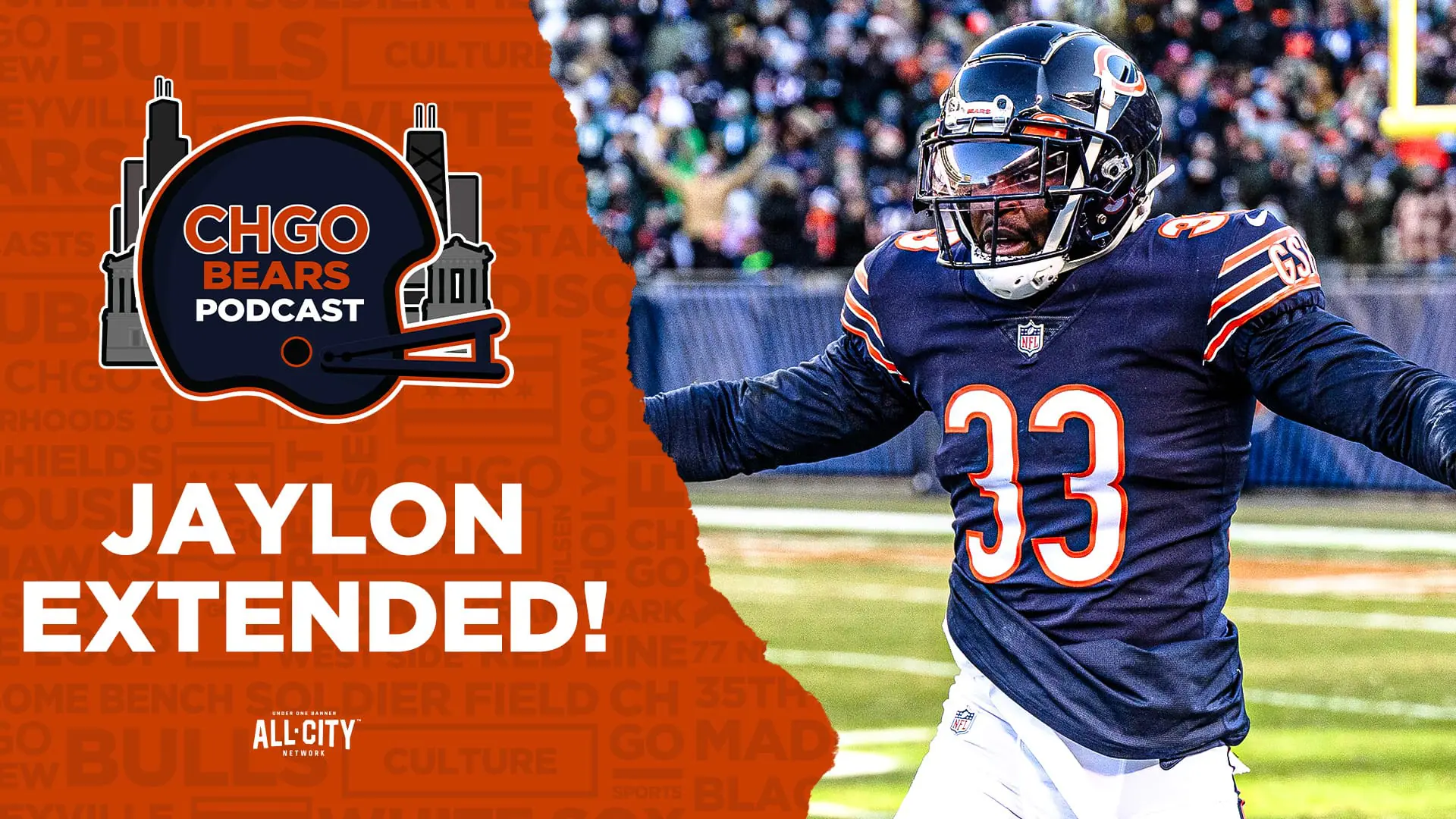 Bears thumbnail POD 1