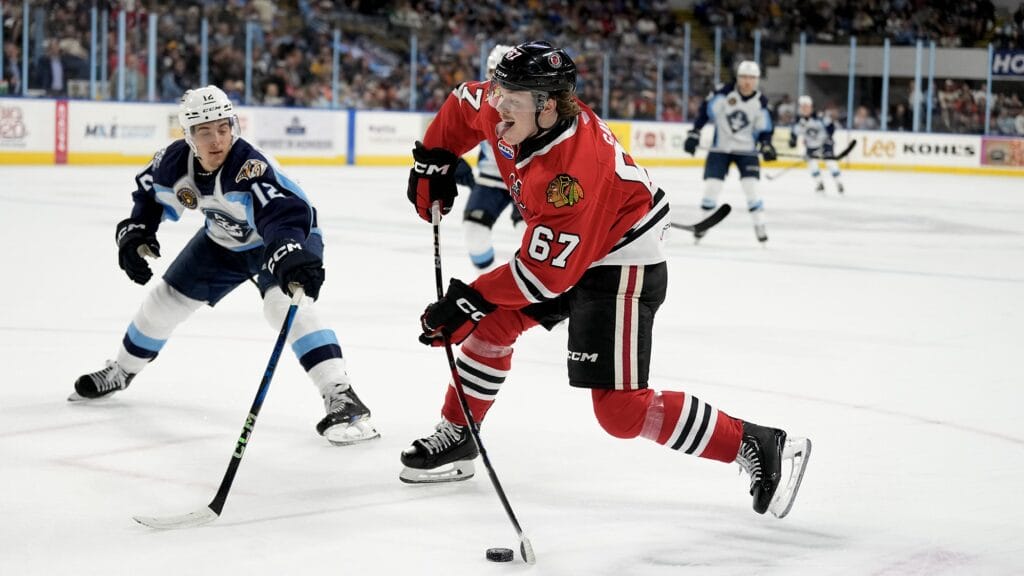 Pigs in Puck: Chemistry leads to Samuel Savoie’s AHL early success