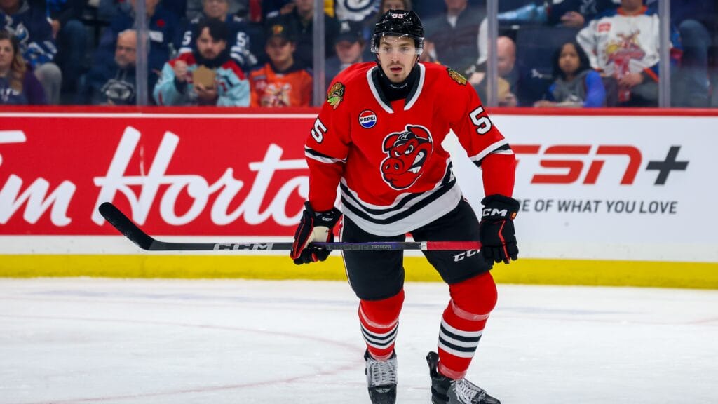 Pigs in Puck: Artyom Levshunov makes pro debut as Rockford IceHogs split weekend